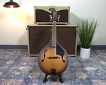 Fender Pm 180E Mandolin Cognac Burst W/gigbag. Fixed Price $369.99.