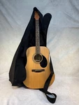 Jasmine By Takamine S35 Acoustic Guitar Natural Finish 6 Strings W/ Carry Bag. Fixed Price $89.99.