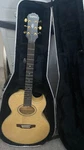 Blonde Epiphone PR-7E Electric Acoustic Guitar Birdseye Top W/hard-shell Case. Fixed Price $399.99.