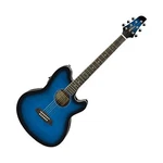 Ibanez TCY10E Talman Acoustic-electric Guitar. Fixed Price $318.60.
