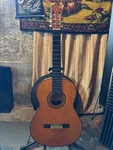 Yamaha G-245S Ii Classical Guitar W/ Gator Dreadnought Case. Fixed Price $169.99.