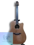 Takamine EAN10C Rare Import Not Sold Japan. Fixed Price $2677.14.