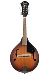 Fender PM-180E Mandolin Aged Cognac Burst With Walnut Fingerboard. Fixed Price $359.99.