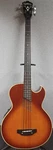 Washburn AB-20 Acoustic/electrc Bass With Hard Shell Case. Fixed Price $825.00.