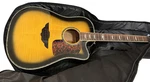 Keith Urban Player Acoustic-electric Guitar Sunburst Dreadnought W/ Gig Bag. Fixed Price $145.00.