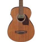 Ibanez PCB54E Acoustic Electric Bass - Open Pore Natural. Fixed Price $299.99.