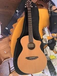 Breedlove Passport Series C250/CME Acoustic-electric Guitar. Fixed Price $199.99.