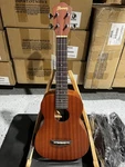 Ibanez UKC10 Concert Ukulele. Fixed Price $119.99.