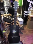 Asheville Guitars. Fixed Price $39.00.