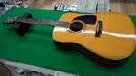 Hohner HG-310 Acoustic Guitar. Fixed Price $983.99.