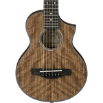 Ibanez EWP14OPN Acoustic Guitar, Open Pore Natural. Fixed Price $199.99.