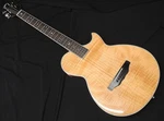 Electric Acoustic Guitar Aria Elecord APE-100 Thin-body Side Soundhole. Fixed Price $870.00.