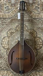 Eastman MDO305 Octave A-style Mandolin Matte Finish W/ Gig Bag & Free Setup. Fixed Price $1099.00.