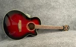 Ibanez AEL20E Acoustic Electric Guitar Thin Body Cutaway Red - Tested Series. Fixed Price $196.00.