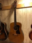 Guild Acoustic Guitar D25. Fixed Price $1594.59.