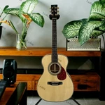 Hollow Solid Spruce Top OM42 Acoustic Electric Guitar Abalone Inlay Bone Nut 301. Fixed Price $353.00.