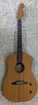 Fender Highway Acoustic Electric Mahogany Dreadnought Performance Guitar W/bag. Fixed Price $795.00.
