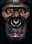 James Mollison: & Other Apes By Goodall, Jane. Fixed Price $11.03.
