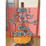 Rare! Elite 12-STRING Guitar WG25 Japan Vintage Acoustic. Fixed Price $573.00.