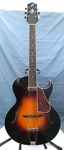 Loar Lh 350 Vs Archtop Guitar W/hsc. Fixed Price $935.00.