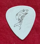 Mark Kendall Great Silver/white Guitar Pick. Fixed Price $32.50.