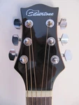 Silvertone Pro Acoustic Guitar With Cast Iron Stand.. Fixed Price $168.00.
