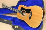 Guild D-55 Nt 1977 Used Acoustic Guitar. Fixed Price $3668.71.