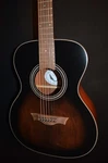 Dean Augustine Vintage Folk Acoustic Electric Guitar Brand New B-stock. Fixed Price $219.96.