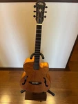 Aria Nylon String Acoustic-electric Guitar Thinline Hollow Body AEQ-4. Fixed Price $748.64.