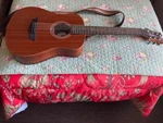 Dean Fly Mah 3/4 Guitar With Extra Padded Gig Bag And Strap. Fixed Price $140.00.