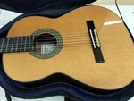 Antonio Sanchez PROFESOR-1 Cedar Used Body Rosewood Fingerboard W/hardcase. Fixed Price $578.99.