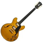 Seventy Guitars Exrubato-jazz-jt Ana Semi-acoustic Electric *SY941. Fixed Price $1453.38.