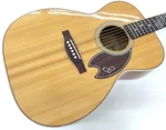 Headway Hf-sakura Dx Std Acoustic Guitar. Fixed Price $2623.99.