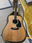 Mountain W-250 Vintage Acoustic Guitar With Hard Case. Fixed Price $700.00.