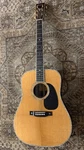 Eastman E40D-TC Acoustic Guitar W/ Hard Case & Free Pro Setup. Fixed Price $2999.00.