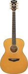 D'angelico Excel Tammany Om Acoustic - Electric Guitar Vintage Natural Finish. Fixed Price $435.99.