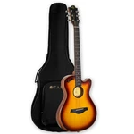 Electronic Acoustic Silent Travel Portable Solid Sprucetop. Fixed Price $229.99.