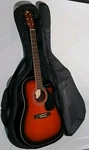 Rogue Starter Acoustic/electric Guitar. Fixed Price $165.00.