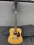 Epiphone DR-212 Na Acoustic Guitar W/ Soft Case, Nice Condition Zx. Fixed Price $378.12.