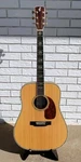 Harley Benton Acoustic Guitar W/hsc! -ll. Fixed Price $399.00.