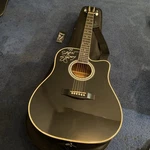 Esteban ALC-200 Black Master Class Cutaway Acoustic Electric Guitar Soft Case. Fixed Price $125.00.