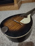 Stella Harmony No. 331 Vintage Flatback Mandolin. Fixed Price $250.00.