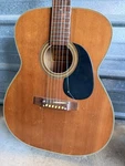 Ariana Grand Auditorium Acoustic Guitar 5080C 6-STRING Brown Right-handed Wood. Fixed Price $55.00.
