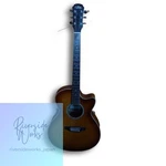 Aria Electro-acoustic Guitar. Fixed Price $453.99.