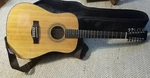 Jay Turser String Acoustic Guitar Jta /30S/12NG. Fixed Price $250.00.