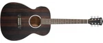 Washburn Dfefe-u Deep Forest Folk Acoustic/electric Guitar. Striped Ebony. Fixed Price $329.00.