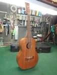 Vintage 1950 Harmony Mahogany Rosewood Baritone Ukulele With Original Case Usa. Fixed Price $329.99.