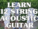 Learn 12 String Acoustic Guitar! Beginner Lessons Dvd.sound Amazing, Not Sloppy.. Fixed Price $9.95.