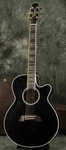 Takamine TDP181AC Sbb Acoustic Electric Guitar With Hard Case From Japan. Fixed Price $2431.51.