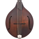 Eastman MDO305 Style Octave Mandolin With F Holes. Fixed Price $999.00.